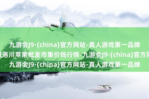 九游会J9·(china)官方网站-真人游戏第一品牌2025年1月26日国度级洛川苹果批发市集价钱行情-九游会J9·(china)官方网站-真人游戏第一品牌