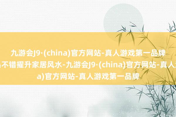 九游会J9·(china)官方网站-真人游戏第一品牌摆放孔雀羽毛不错擢升家居风水-九游会J9·(china)官方网站-真人游戏第一品牌
