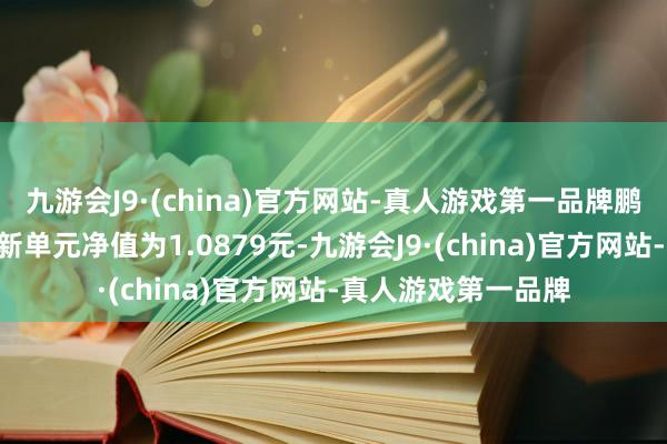 九游会J9·(china)官方网站-真人游戏第一品牌鹏华稳瑞中短债A最新单元净值为1.0879元-九游会J9·(china)官方网站-真人游戏第一品牌