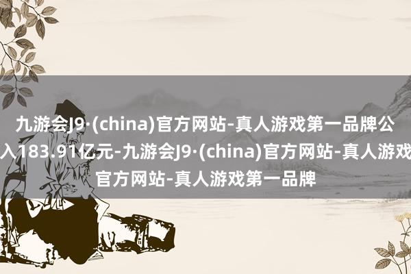 九游会J9·(china)官方网站-真人游戏第一品牌公司主营收入183.91亿元-九游会J9·(china)官方网站-真人游戏第一品牌